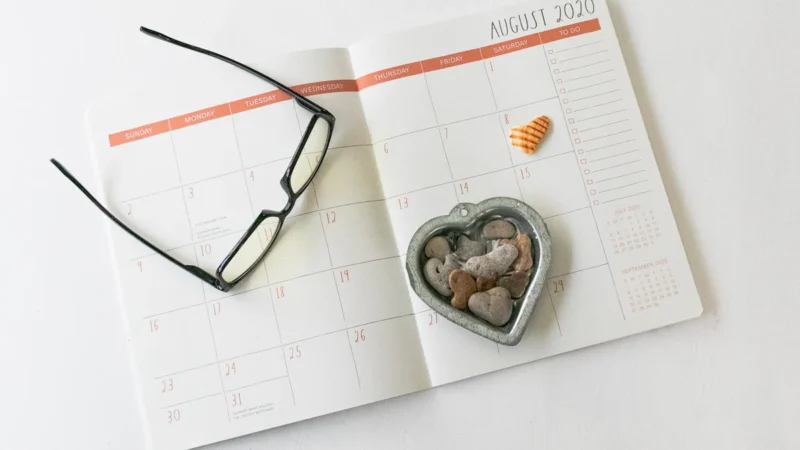 Pregnancy planner and weekly organization