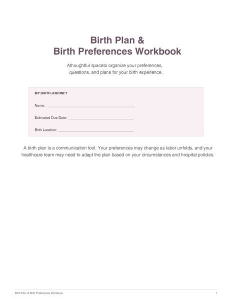 Birth Plan and Birth Preferences Workbook cover