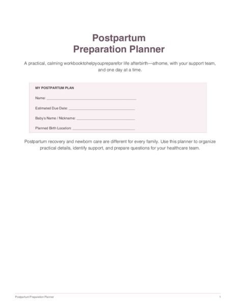Postpartum Preparation Planner cover